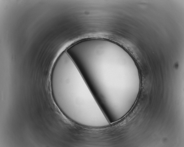 X0000100201184200805300740