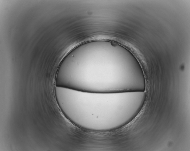 X0000100201185200805300740
