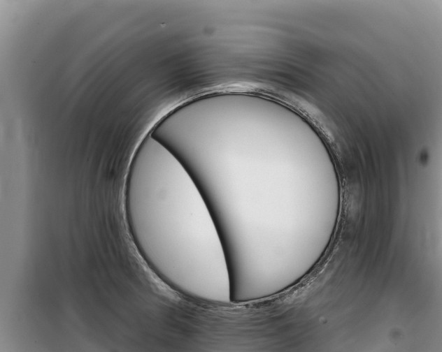 X0000100201186200805300740