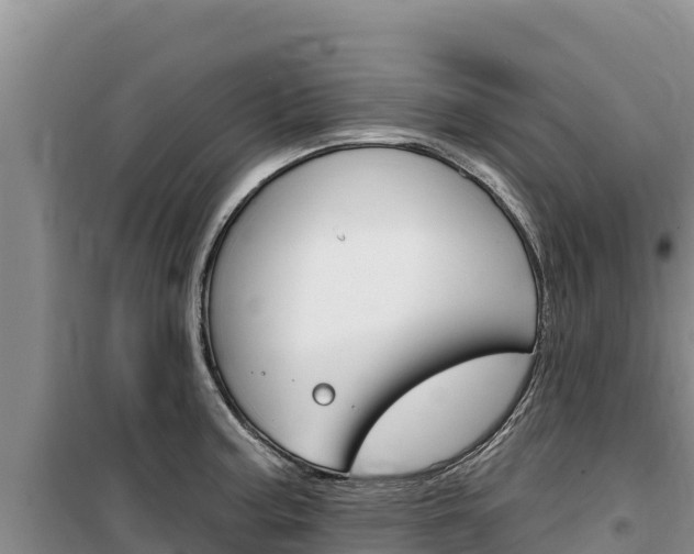 X0000100201187200805300740