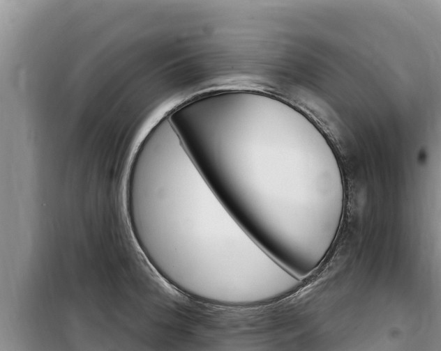 X0000100201188200805300740