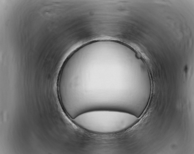X0000100201189200805300740