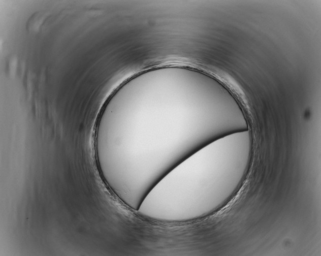 X0000100201190200805300740