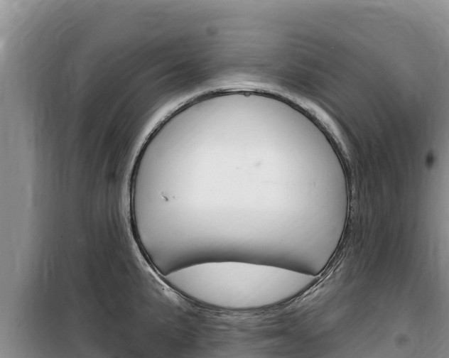 X0000100201191200805300740