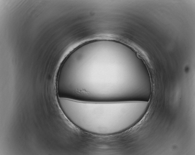 X0000100201192200805300740