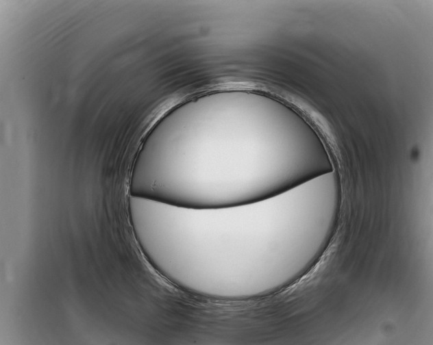 X0000100201193200805300740
