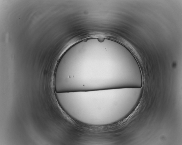 X0000100201194200805300740
