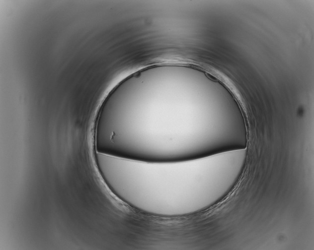 X0000100201195200805300740