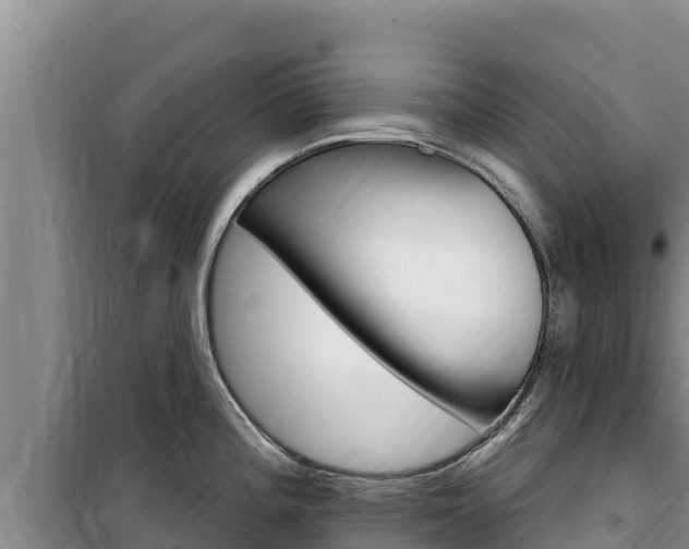 X0000100201196200805300740