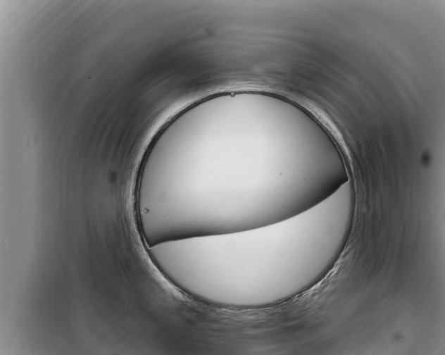 X0000100201197200805300740