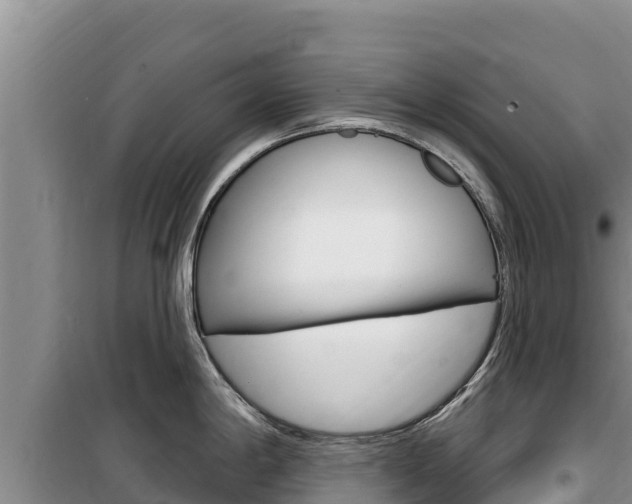 X0000100201198200805300740