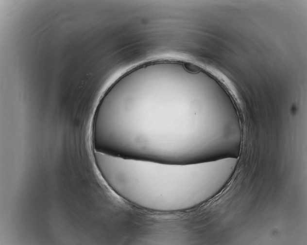 X0000100201199200805300740
