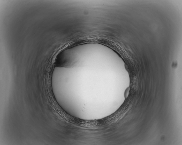 X0000100201201200805300739