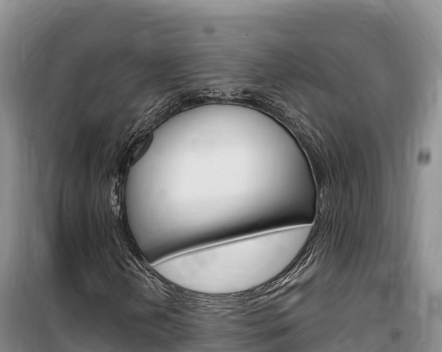 X0000100201202200805300739
