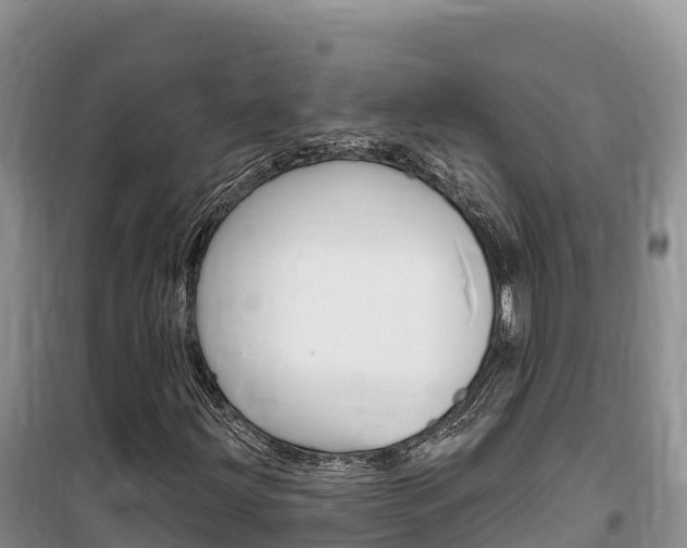 X0000100201203200805300739