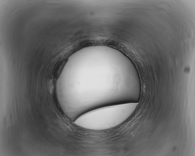 X0000100201204200805300739