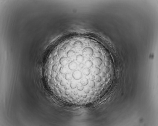 X0000100201205200805300739