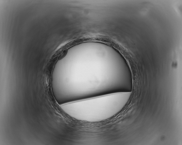 X0000100201206200805300739