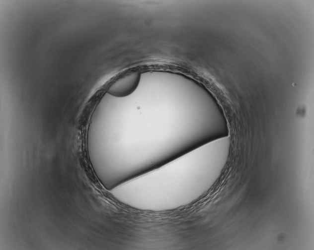 X0000100201208200805300739