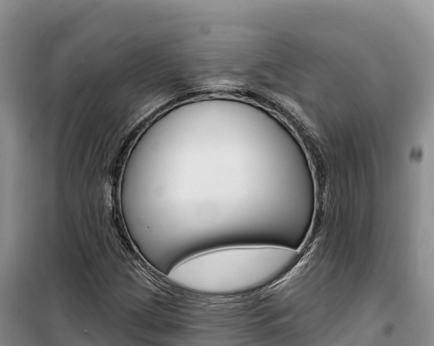 X0000100201209200805300739