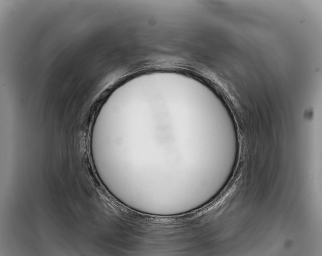 X0000100201211200805300739