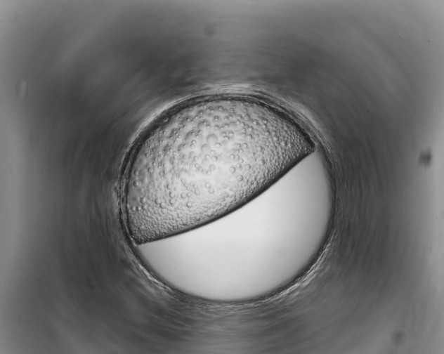 X0000100201212200805300739