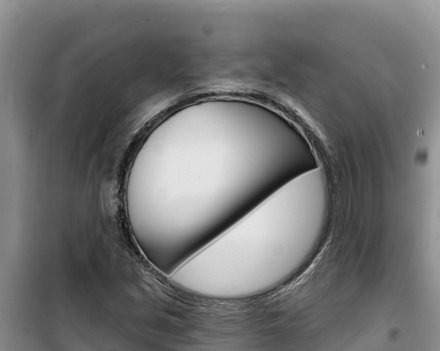 X0000100201213200805300739