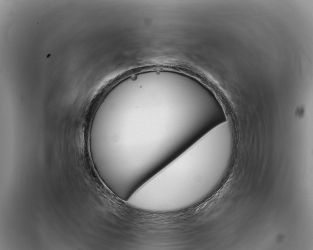 X0000100201214200805300739