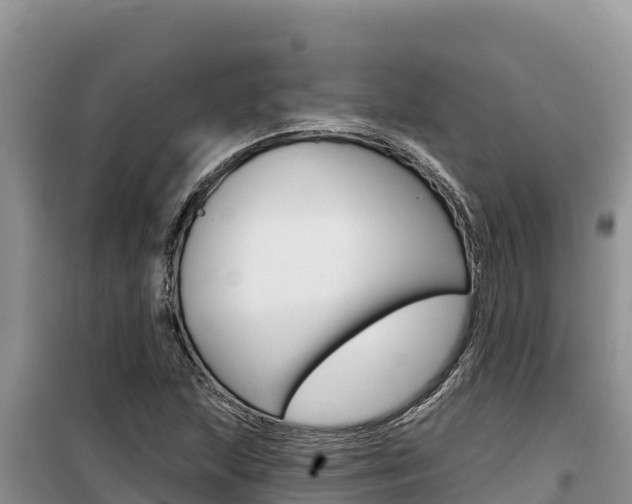 X0000100201215200805300740