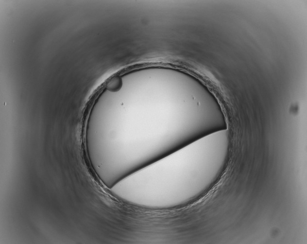 X0000100201216200805300740