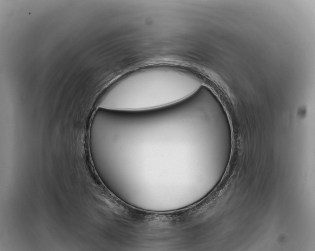 X0000100201217200805300740