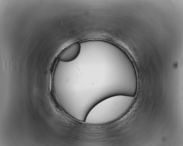 X0000100201219200805300740
