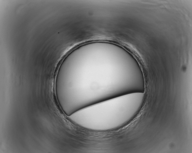 X0000100201220200805300740