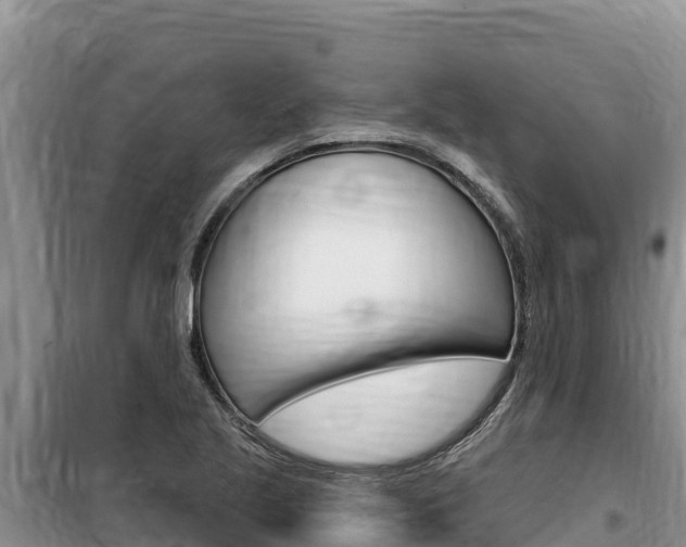 X0000100201221200805300740