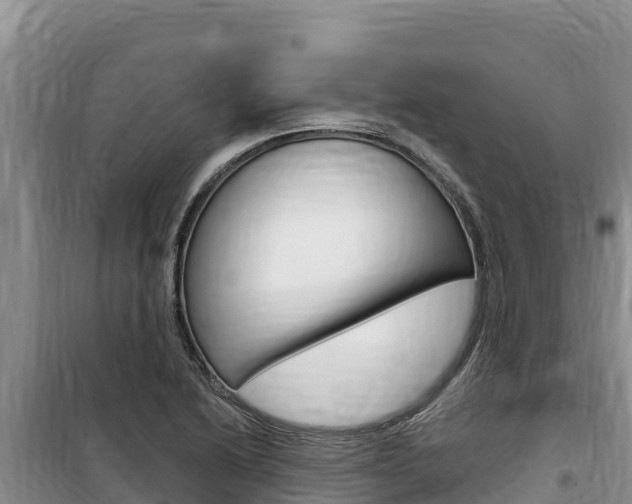 X0000100201222200805300740