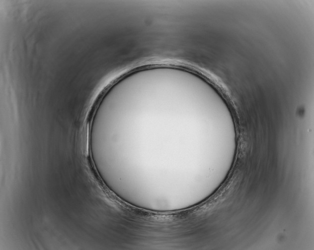 X0000100201223200805300740