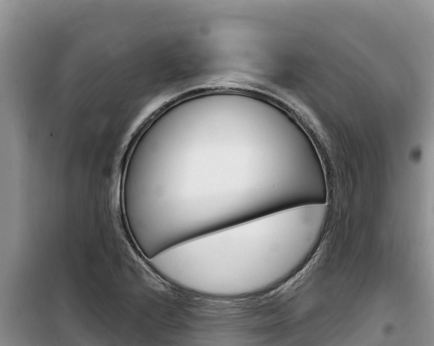 X0000100201224200805300740