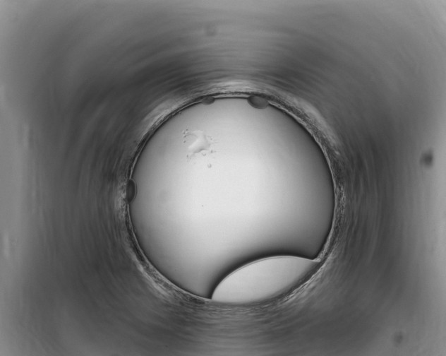 X0000100201225200805300740