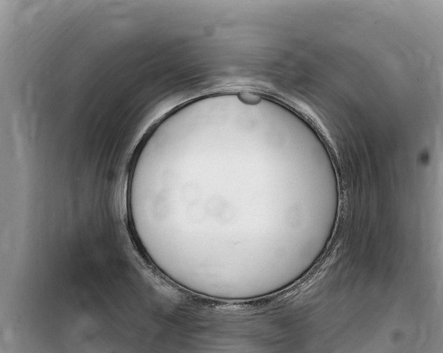 X0000100201227200805300740