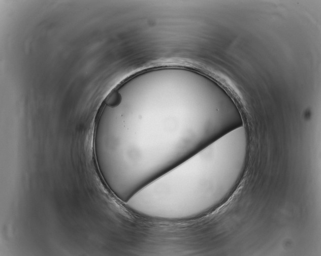 X0000100201228200805300740