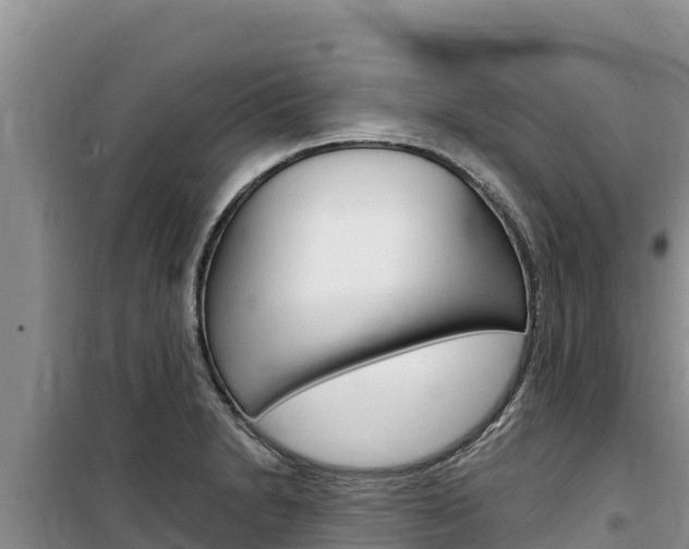 X0000100201230200805300740