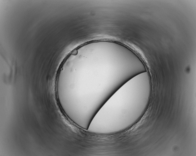 X0000100201231200805300740