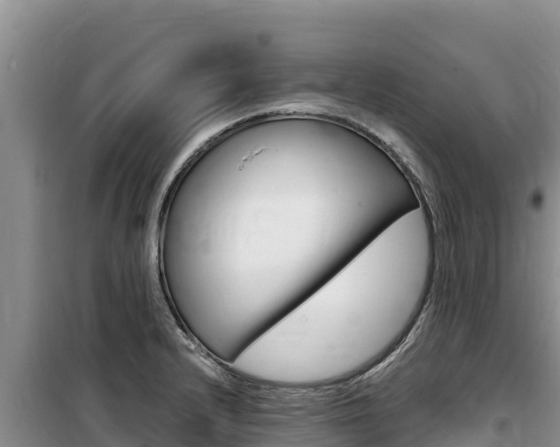 X0000100201232200805300740