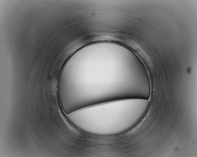 X0000100201233200805300740