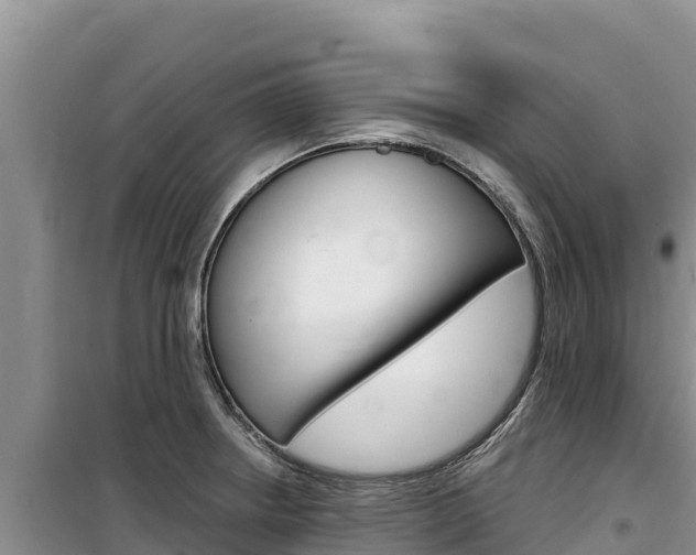 X0000100201234200805300740