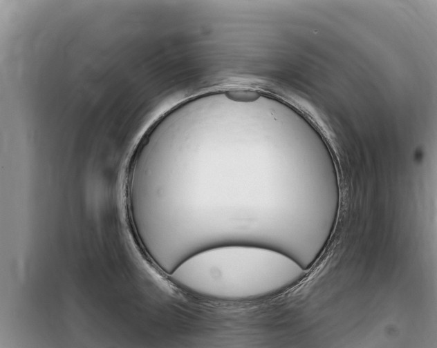 X0000100201235200805300740