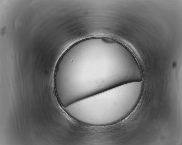 X0000100201236200805300740