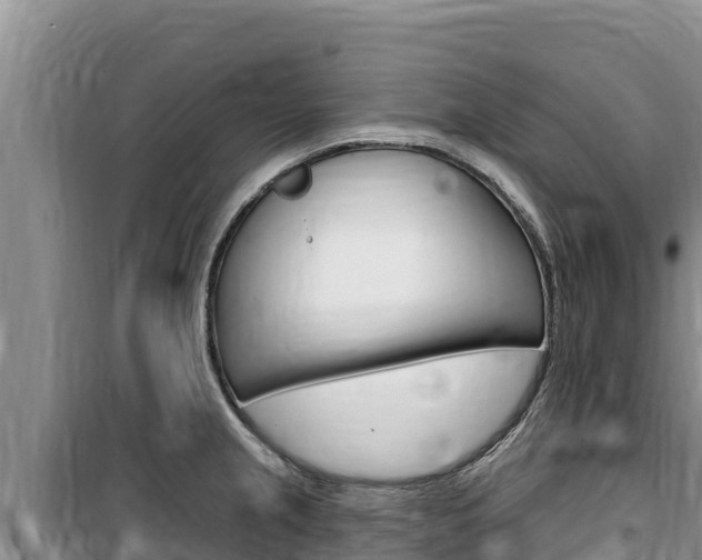 X0000100201237200805300740