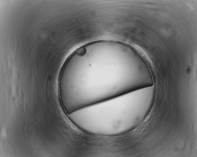 X0000100201238200805300740