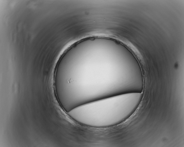 X0000100201240200805300740